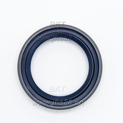 BKT-339 S120W Shaft Seal 0750 110 135