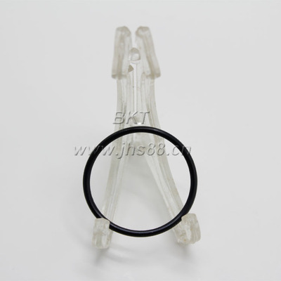BKT-176 O-Ring ZTAM-00731 R55W DH55W